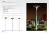High Pole Lamp
