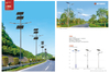 Solar Street Lamp Post