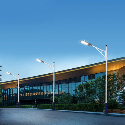 50w 100w 1500w Solar Street Light Poles