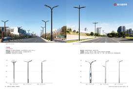 Ordinary Single Arm And Double Arm Street Lamps