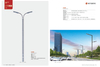 Ordinary Single Arm And Double Arm Street Lamps